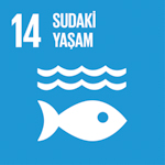  SUDAKİ YAŞAM