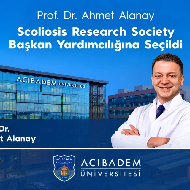 ahmet alanay 