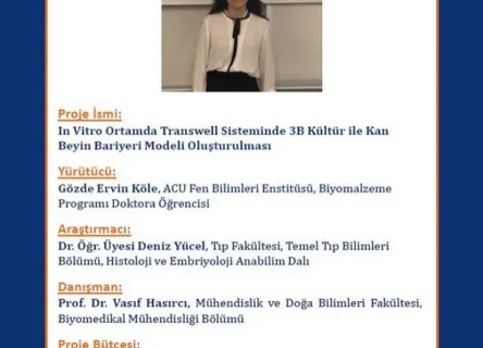 Gözde Ervin Köle