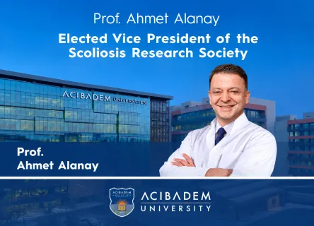 ahmet alanay - english