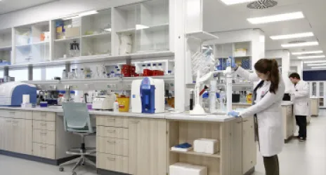 İnsan ve Toplum Bilimleri Fakültesi