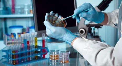 Tıbbi Mikrobiyoloji