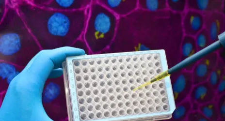 Medical Biotecnology