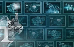 Doktora Programları