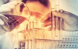 Yüksek Lisans Programları