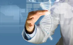 Doktora Programları