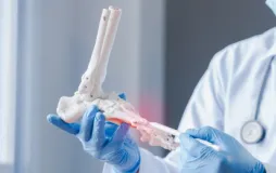 Ortopedi ve Travmatoloji AD