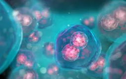 Genom Çalışmaları