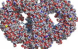 Biyokimya ve Moleküler Biyoloji