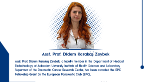 didem karakaş zeybek en