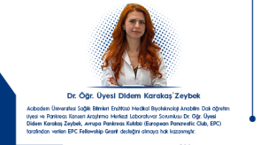 didem karakaş zeybek tr