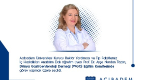 Prof. Dr. Ayşe Nurdan Tözün, Dünya Gastroenteroloji Derneği Eğitim Komitesine Seçildi.