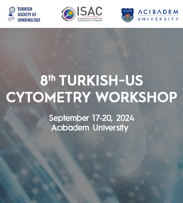 8. Turkish-US Workshop