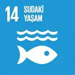  SUDAKİ YAŞAM