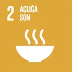  AÇLIĞA SON